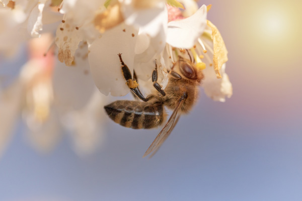 よくあるご質問